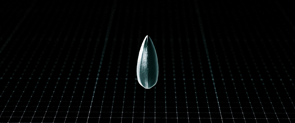Tournesol Reveal - Lidea Seed