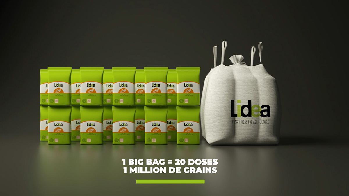 Le Big Bag - Lidea